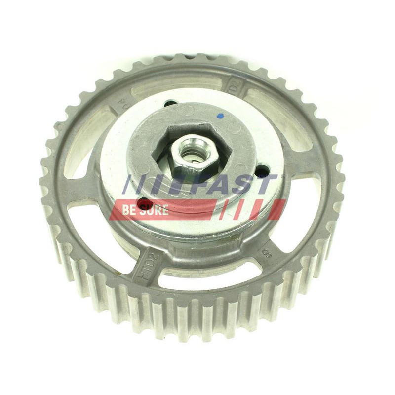 Tendicinghia distribuzione - FAST