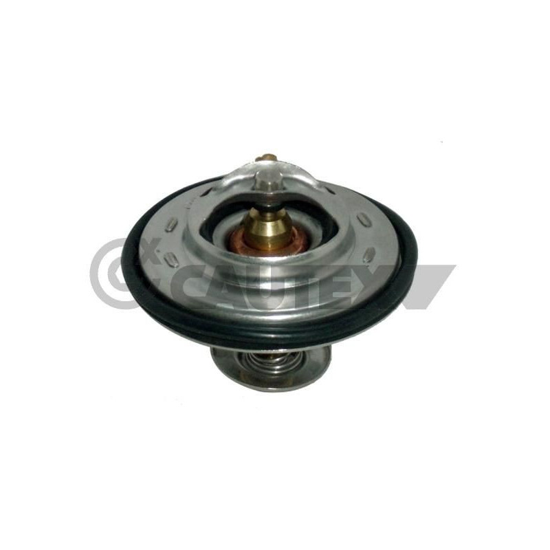 Termostato raffreddamento - CAUTEX GOMMA E PARTI MOTORE