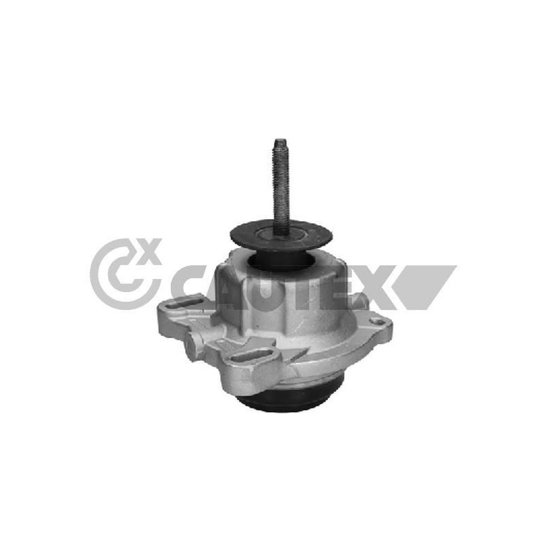 Supporto motore - CAUTEX GOMMA E PARTI MOTORE