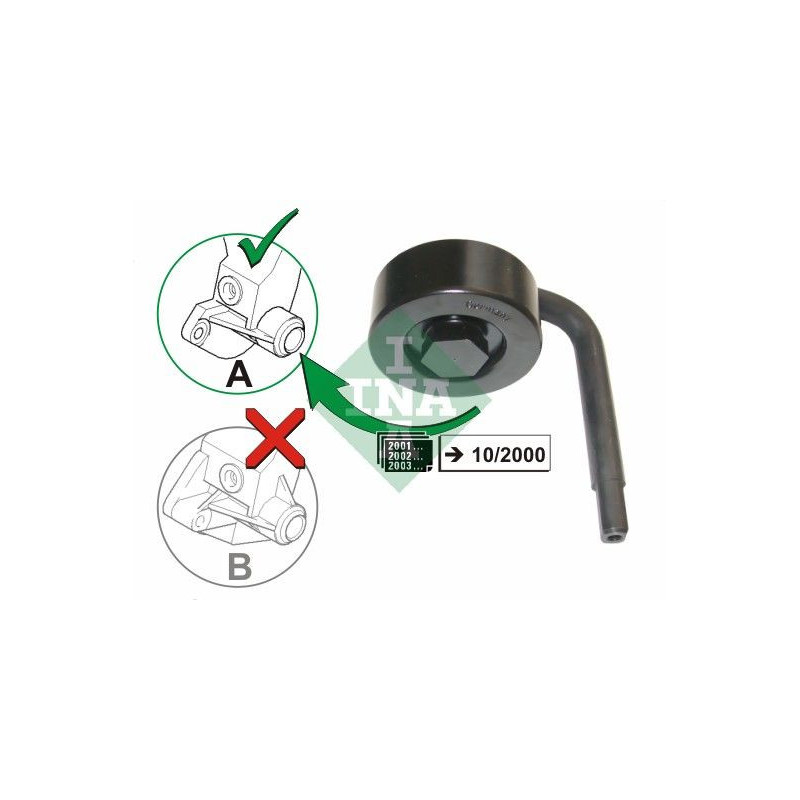 Tendicinghia trapezoidale - INA