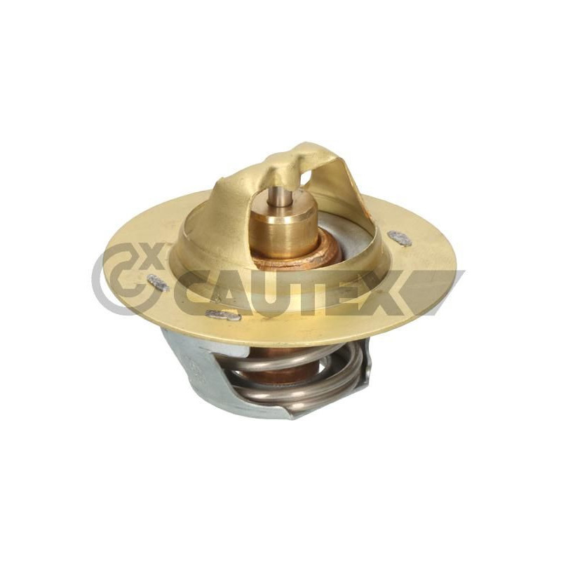 Termostato raffreddamento - CAUTEX GOMMA E PARTI MOTORE