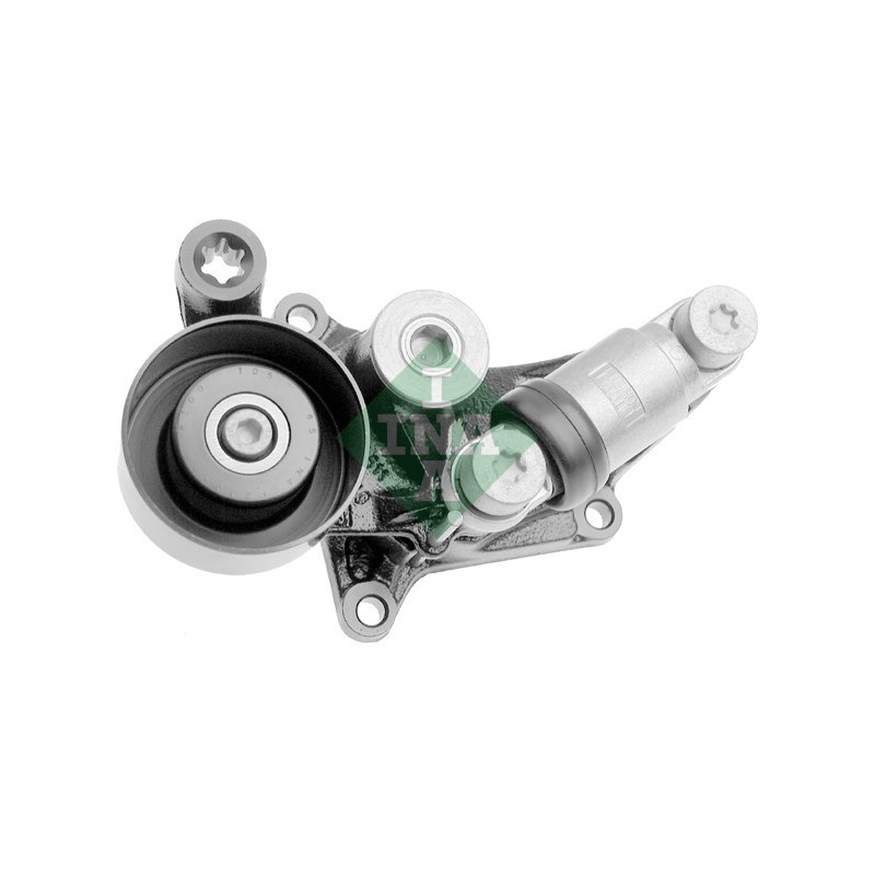 Tendicinghia trapezoidale - INA