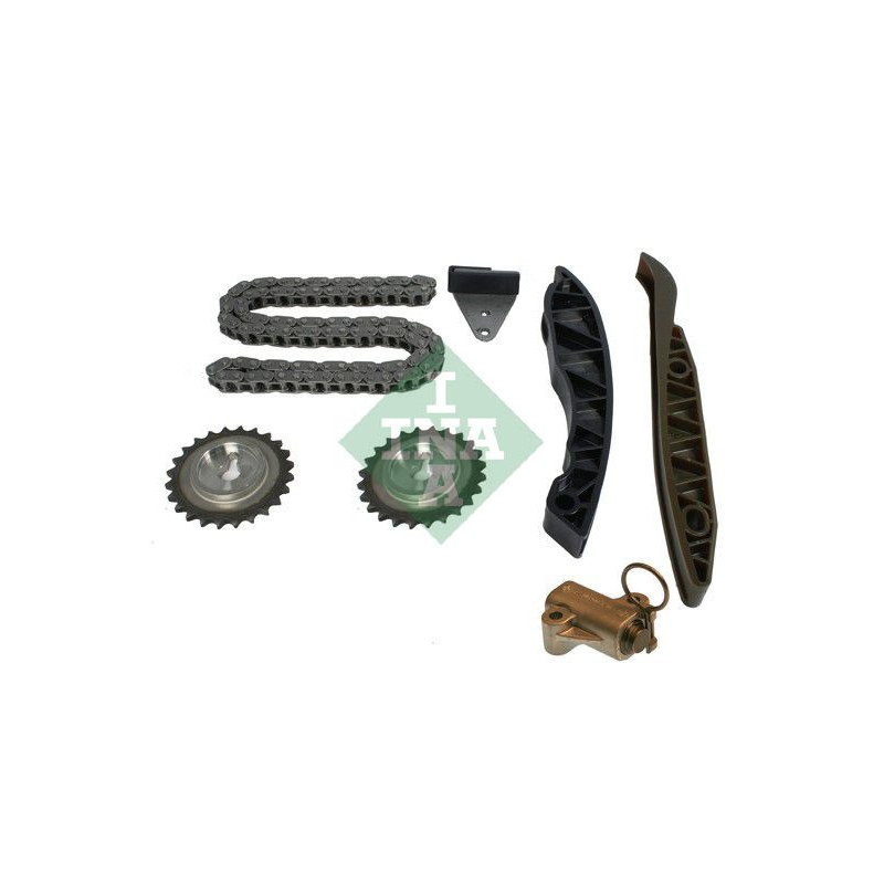 Cinghia/catena distribuzione - INA