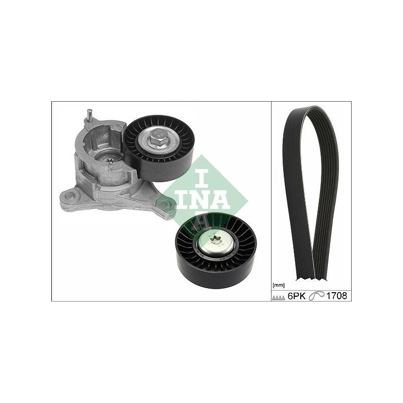 Tendicinghia trapezoidale - INA