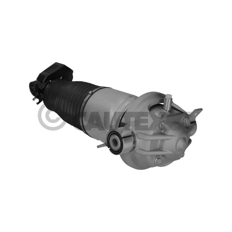 Ammortizzatore asse posteriore - CAUTEX GOMMA E PARTI MOTORE