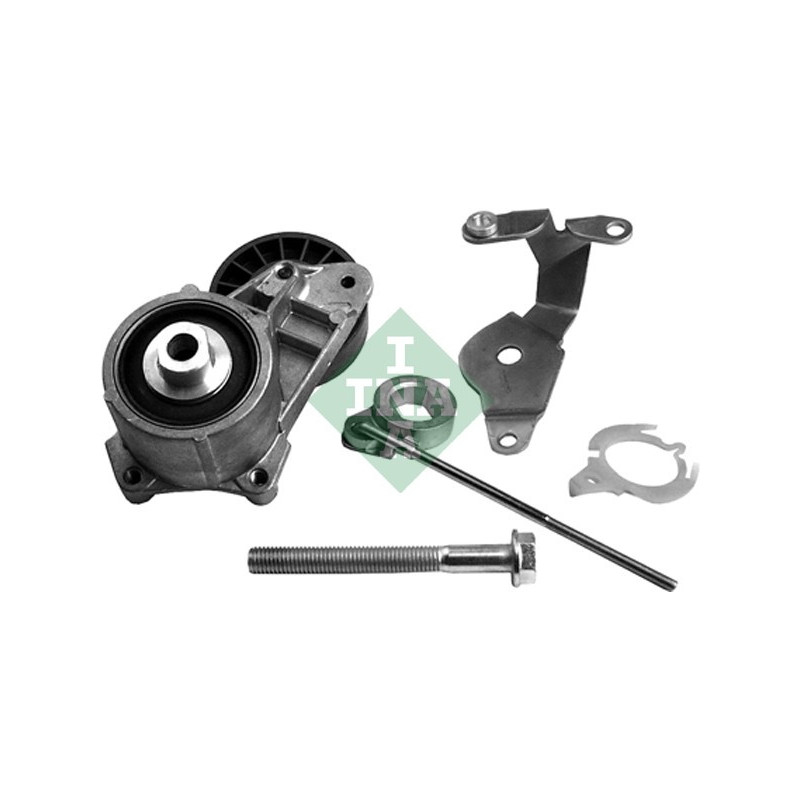 Tendicinghia trapezoidale - INA