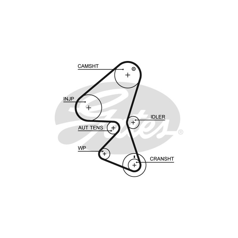 Tendicinghia trapezoidale - GATES
