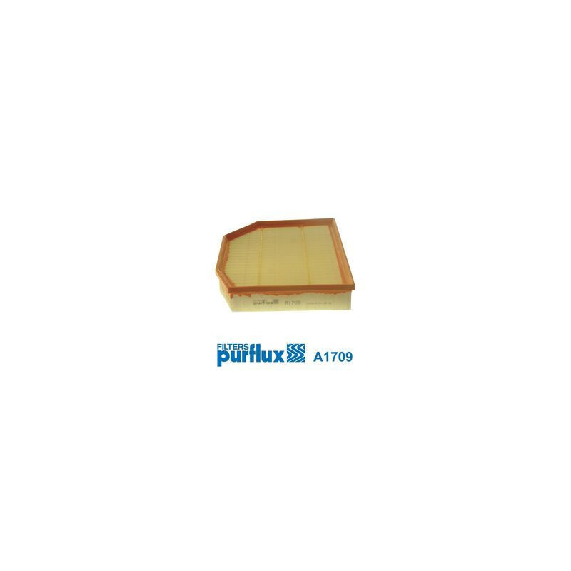 Filtro aria - PURFLUX