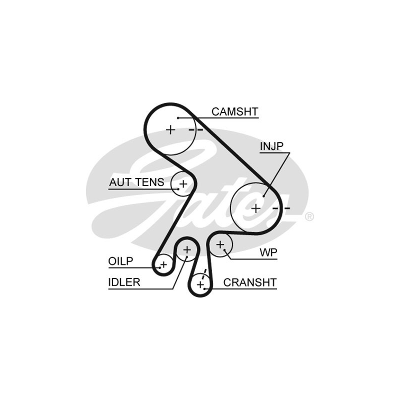 Kit distribuzione - GATES