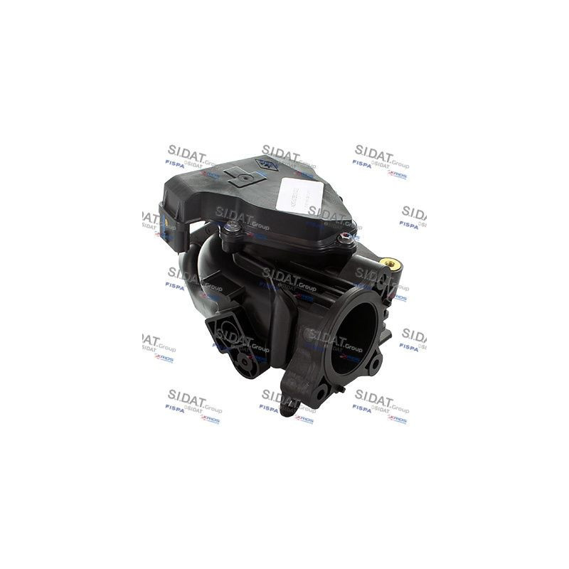 Corpo farfallato - SIDAT