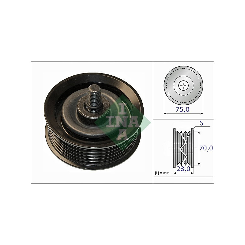 Tendicinghia trapezoidale - INA