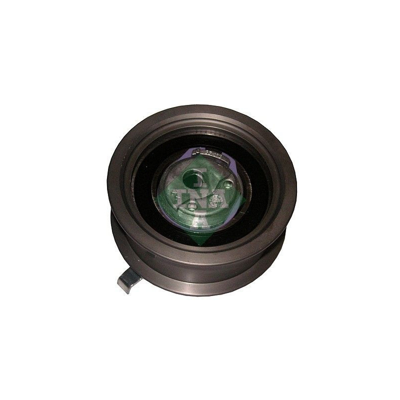 Tendicinghia distribuzione - INA