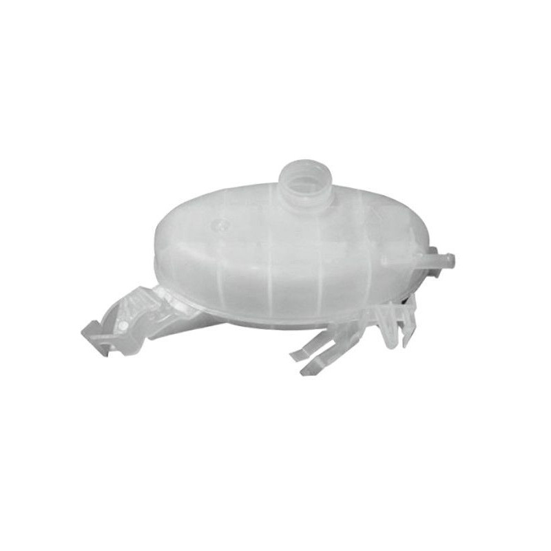 Vaschetta espansione - GOOM