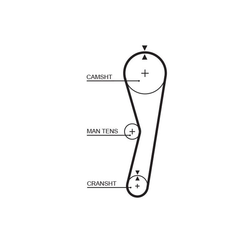 Cinghia/catena distribuzione - GATES