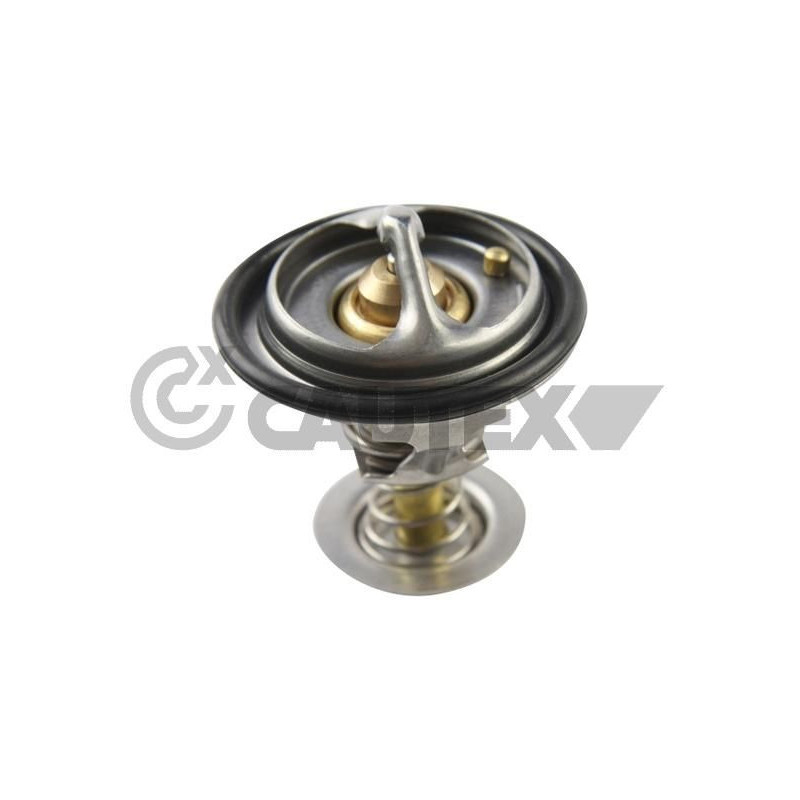 Termostato raffreddamento - CAUTEX GOMMA E PARTI MOTORE