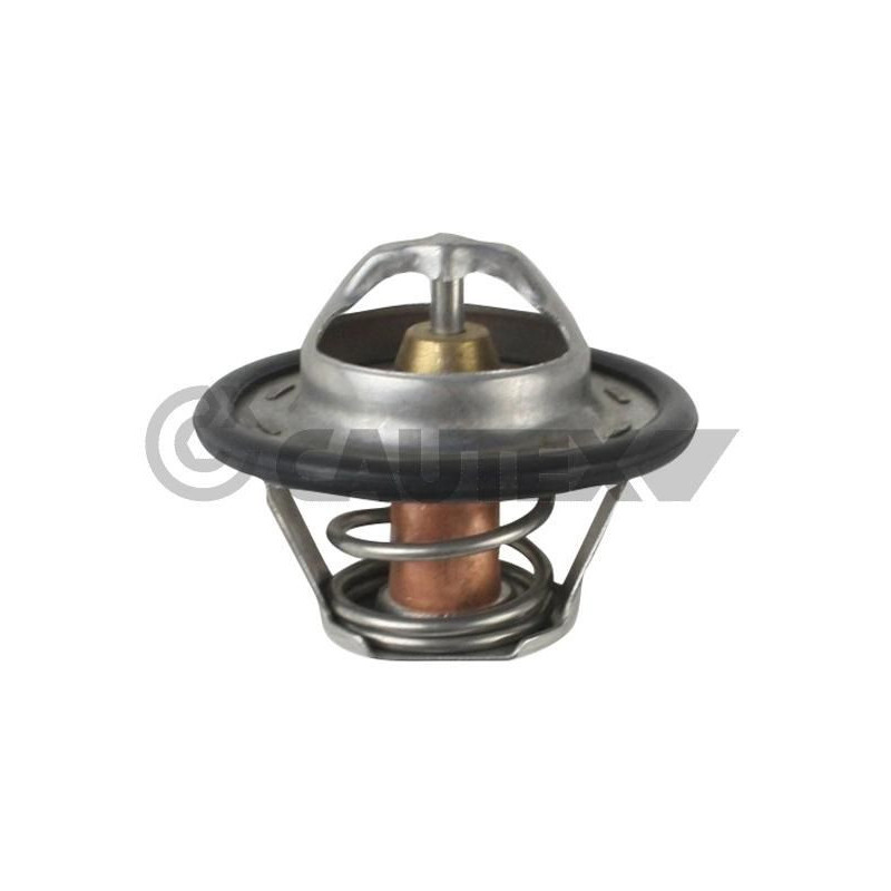 Termostato raffreddamento - CAUTEX GOMMA E PARTI MOTORE