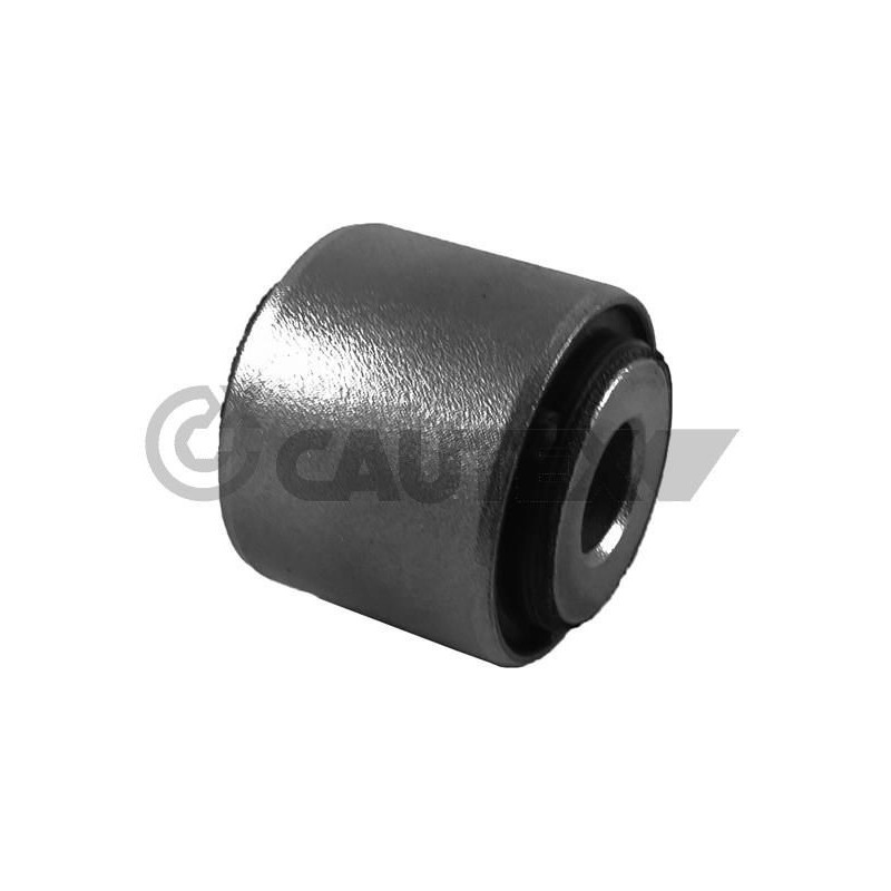 Braccio oscillante asse posteriore - CAUTEX GOMMA E PARTI MOTORE