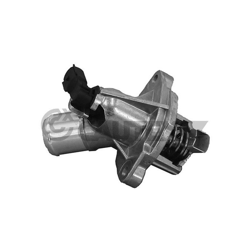 Termostato raffreddamento - CAUTEX GOMMA E PARTI MOTORE