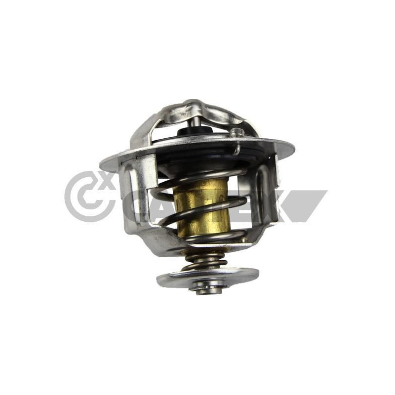 Termostato raffreddamento - CAUTEX GOMMA E PARTI MOTORE