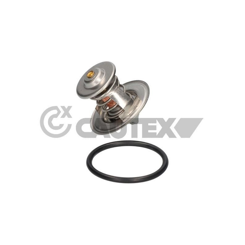 Termostato raffreddamento - CAUTEX GOMMA E PARTI MOTORE