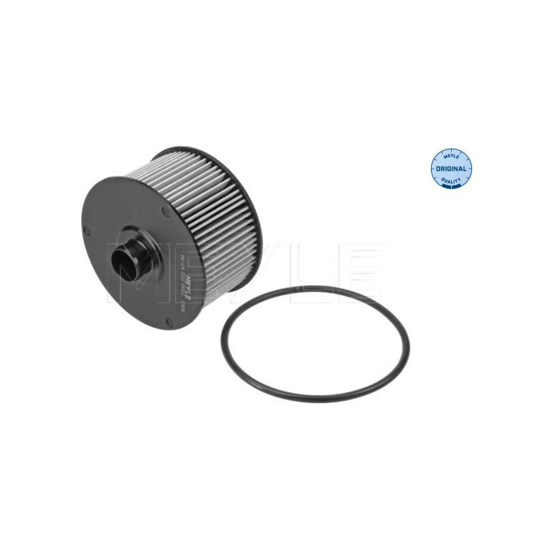 Filtro olio - MEYLE
