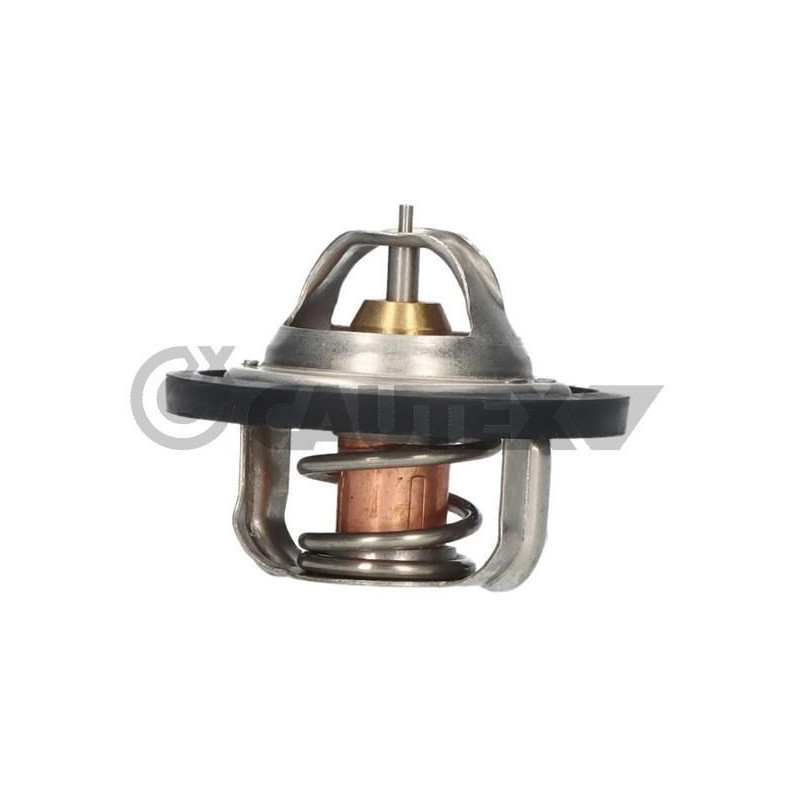 Termostato raffreddamento - CAUTEX GOMMA E PARTI MOTORE