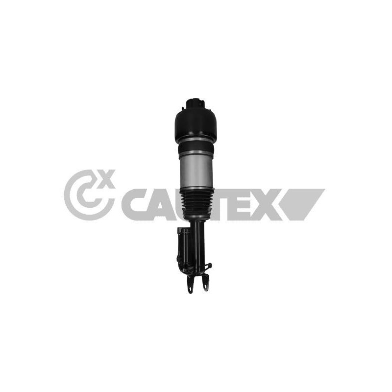 Ammortizzatore asse anteriore - CAUTEX GOMMA E PARTI MOTORE