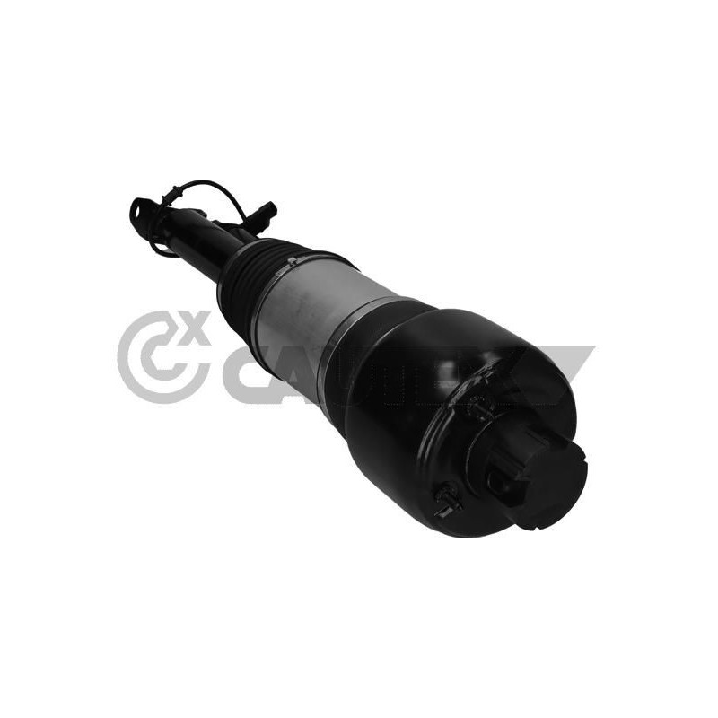 Ammortizzatore asse anteriore - CAUTEX GOMMA E PARTI MOTORE