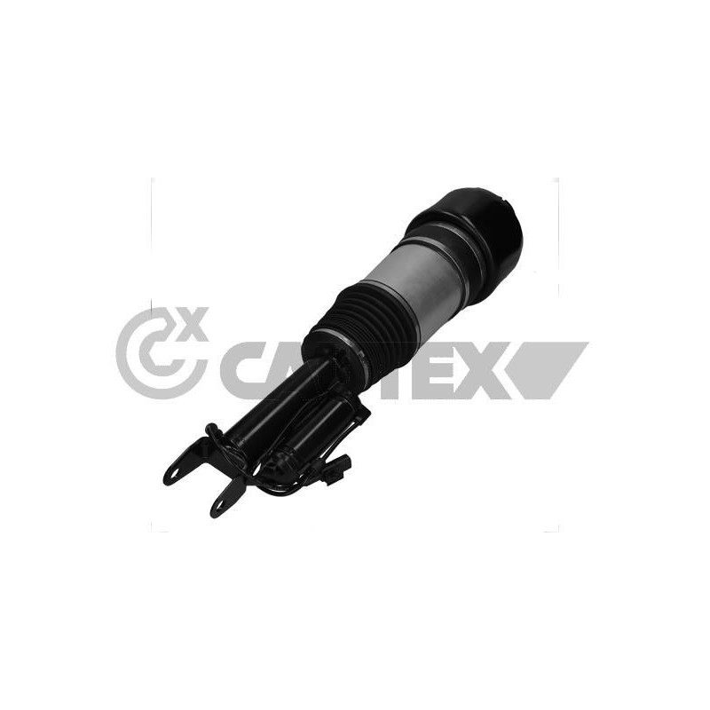 Ammortizzatore asse anteriore - CAUTEX GOMMA E PARTI MOTORE