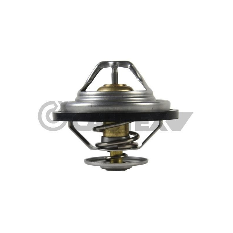 Termostato raffreddamento - CAUTEX GOMMA E PARTI MOTORE