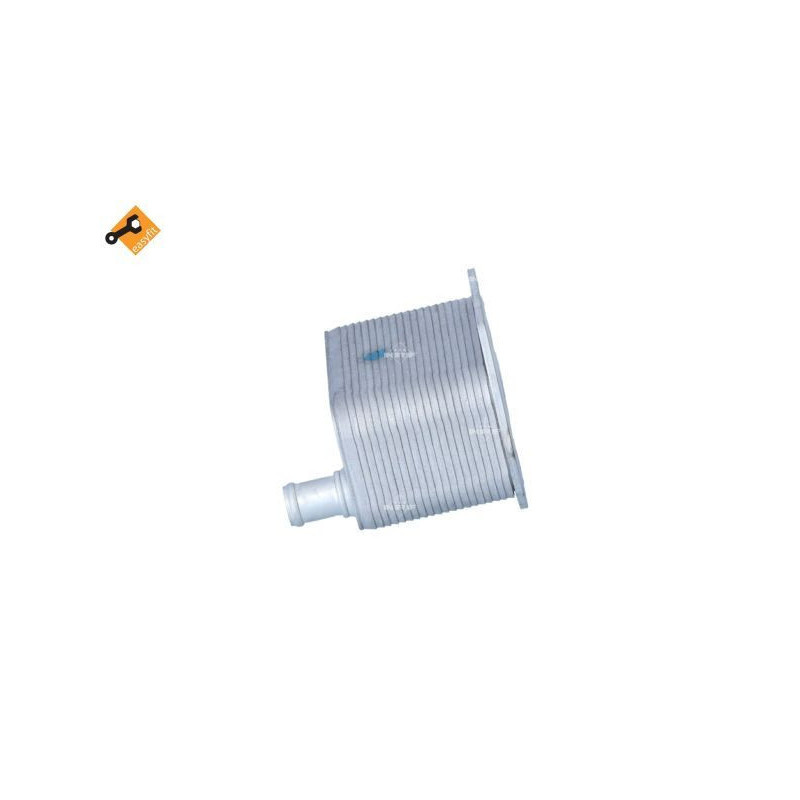 Radiatore olio motore - NRF