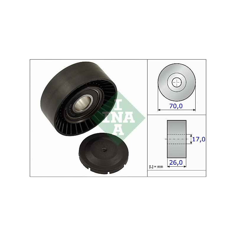 Tendicinghia trapezoidale - INA