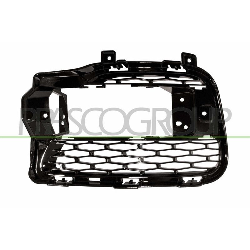 Griglia paraurti - PRASCO