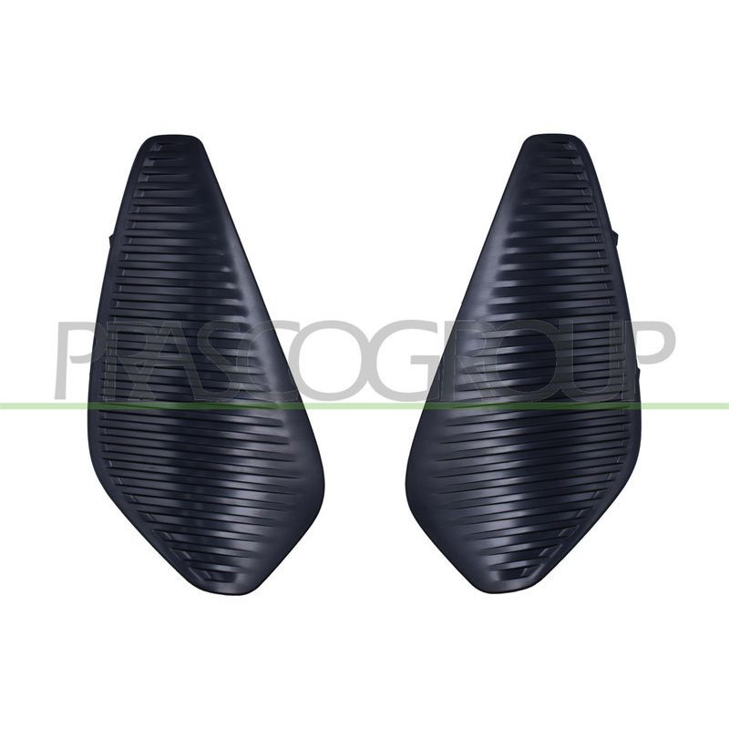 Griglia paraurti - PRASCO