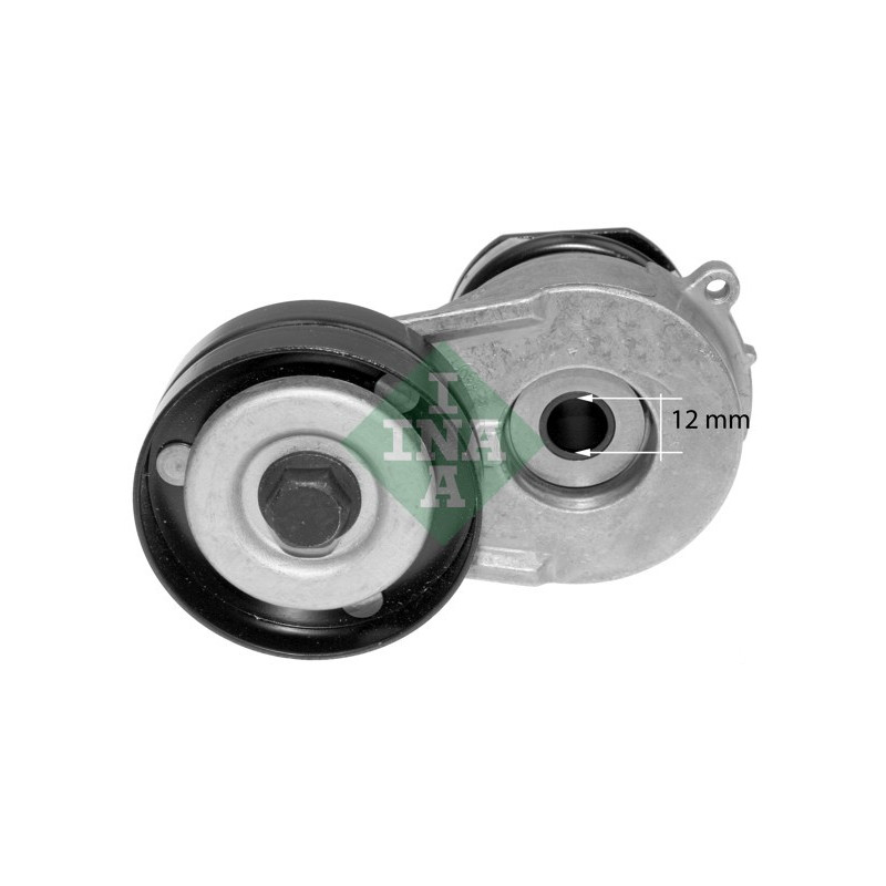 Tendicinghia trapezoidale - INA