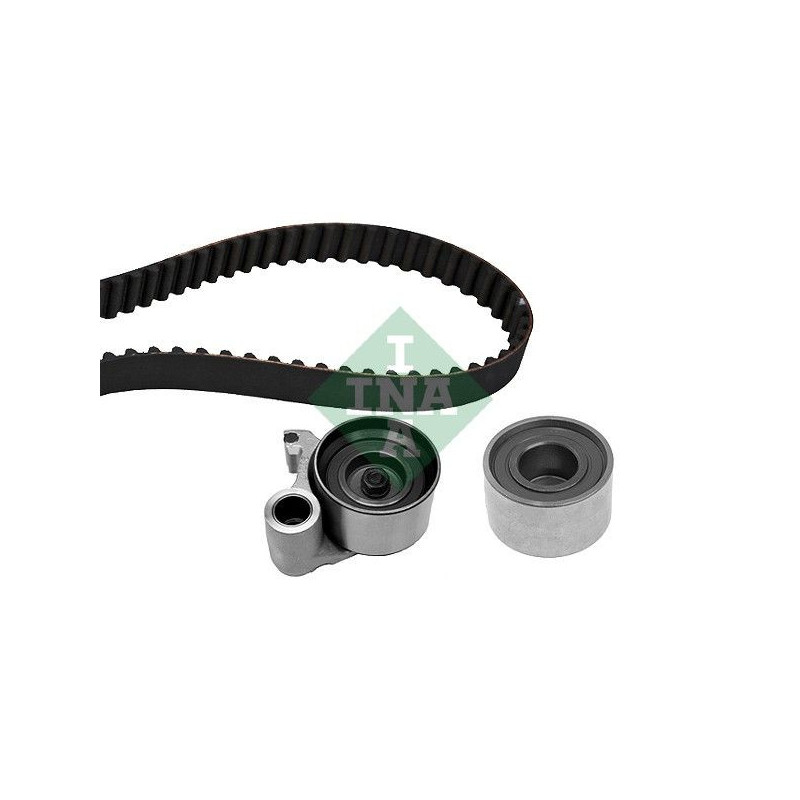 Tendicinghia trapezoidale - INA