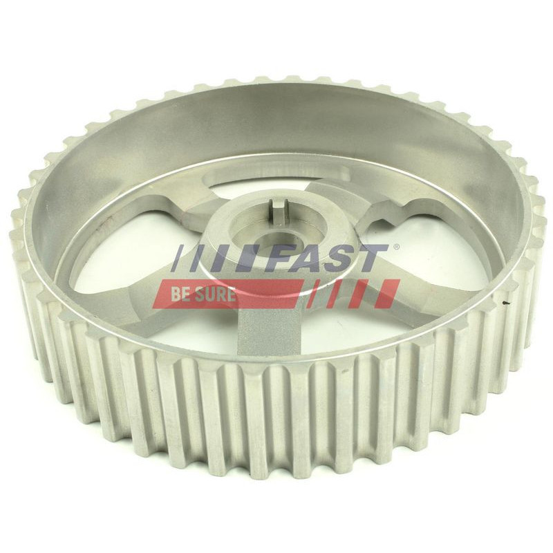 Tendicinghia distribuzione - FAST