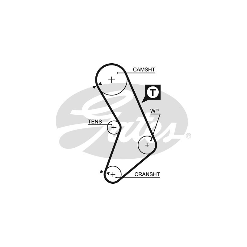 Cinghia/catena distribuzione - GATES