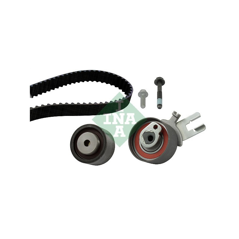 Kit distribuzione - INA