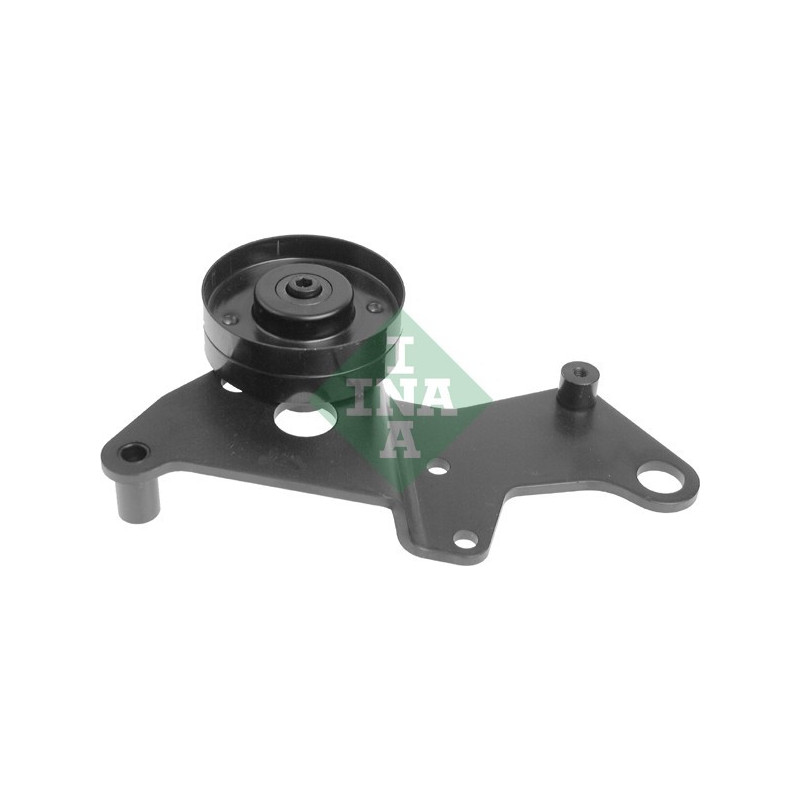 Tendicinghia trapezoidale - INA