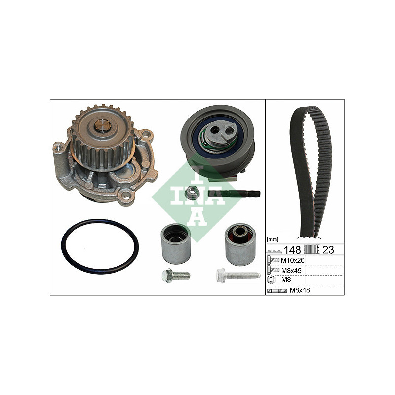 Tendicinghia trapezoidale - INA