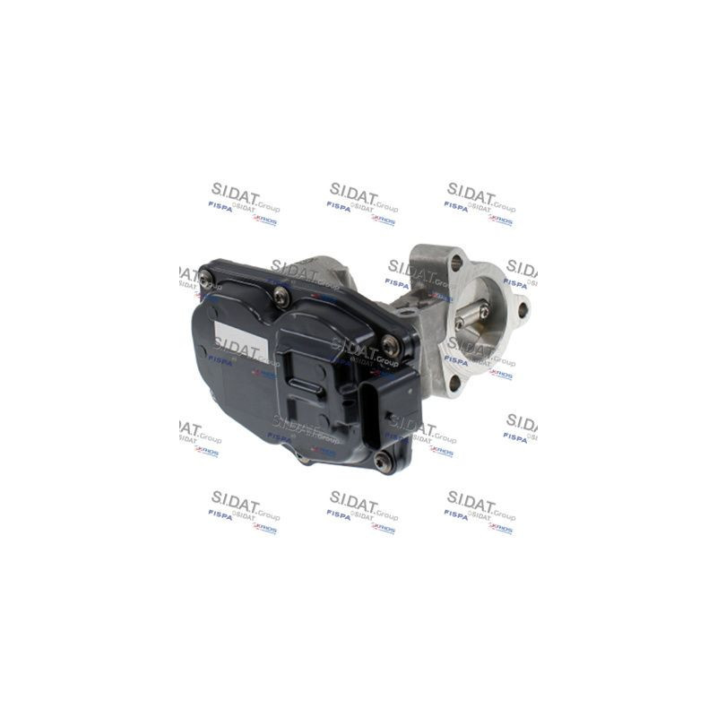 Valvola EGR - SIDAT