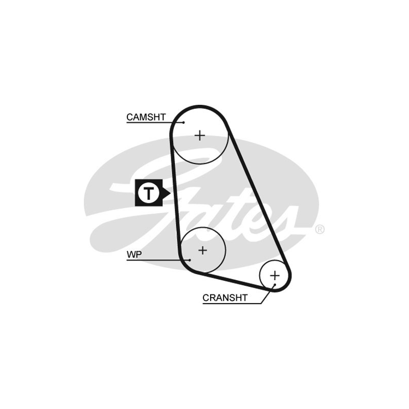 Cinghia/catena distribuzione - GATES