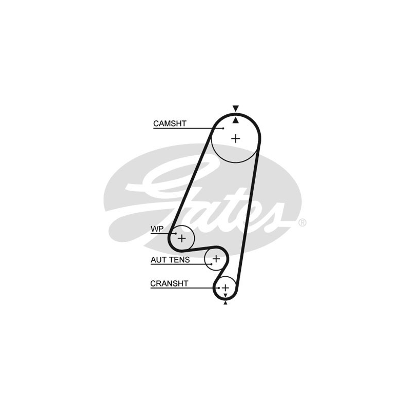 Kit distribuzione - GATES