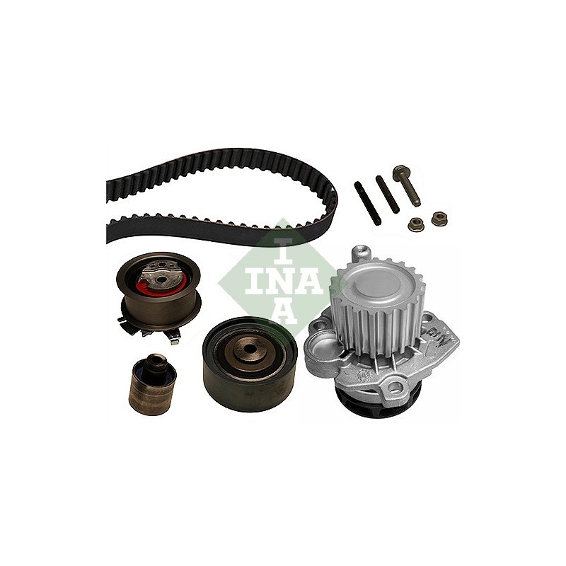 Kit distribuzione - INA