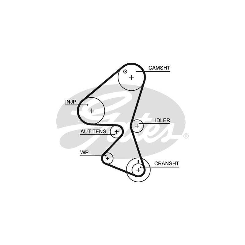 Cinghia/catena distribuzione - GATES