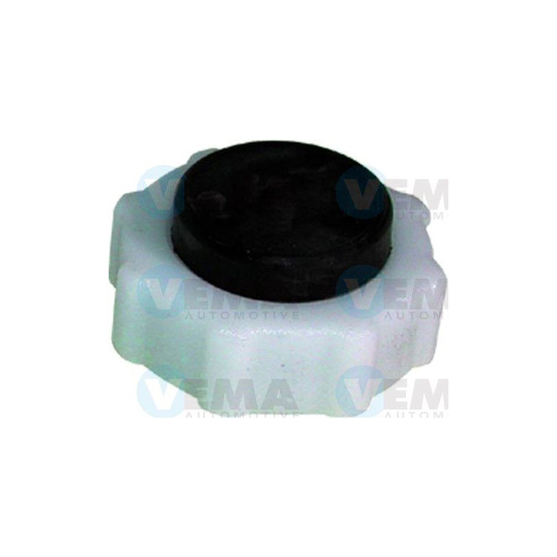 Vaschetta espansione - VEMA