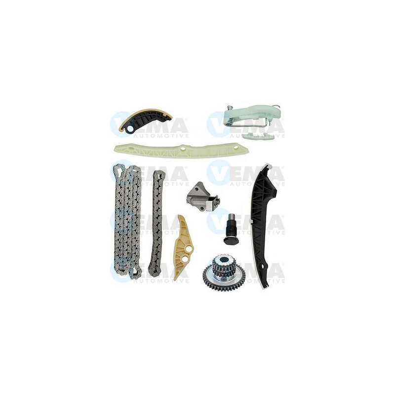 Cinghia/catena distribuzione - VEMA