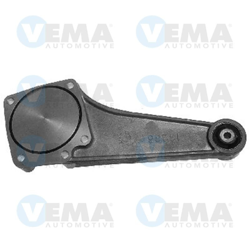 Tendicinghia distribuzione - VEMA