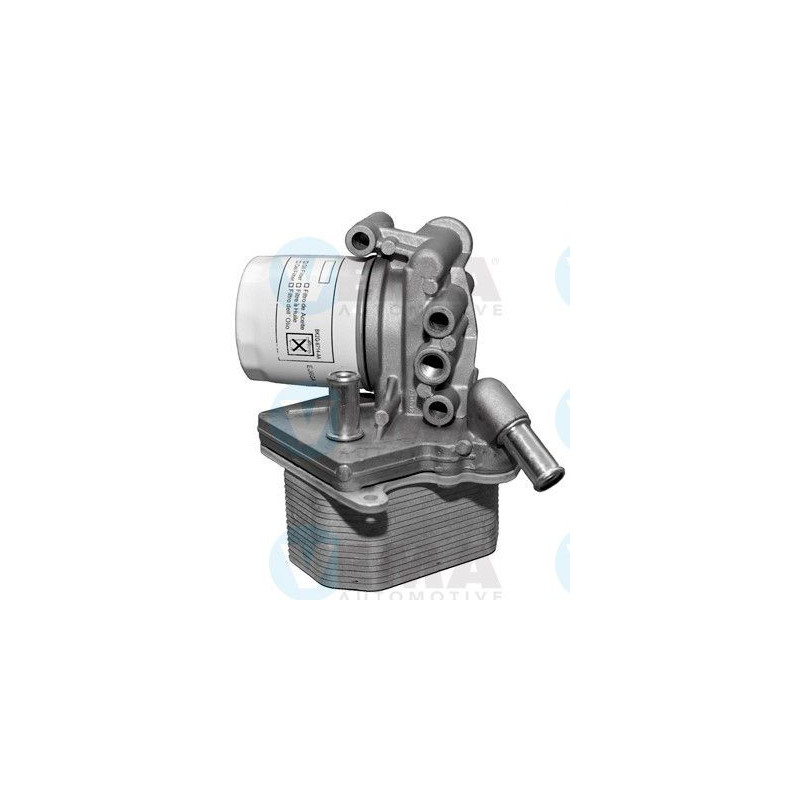 Radiatore olio motore - VEMA